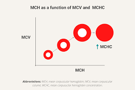 Maternal & Child Healthcare